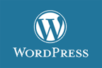 wordpress with user admin interfaces used to power more robust websites